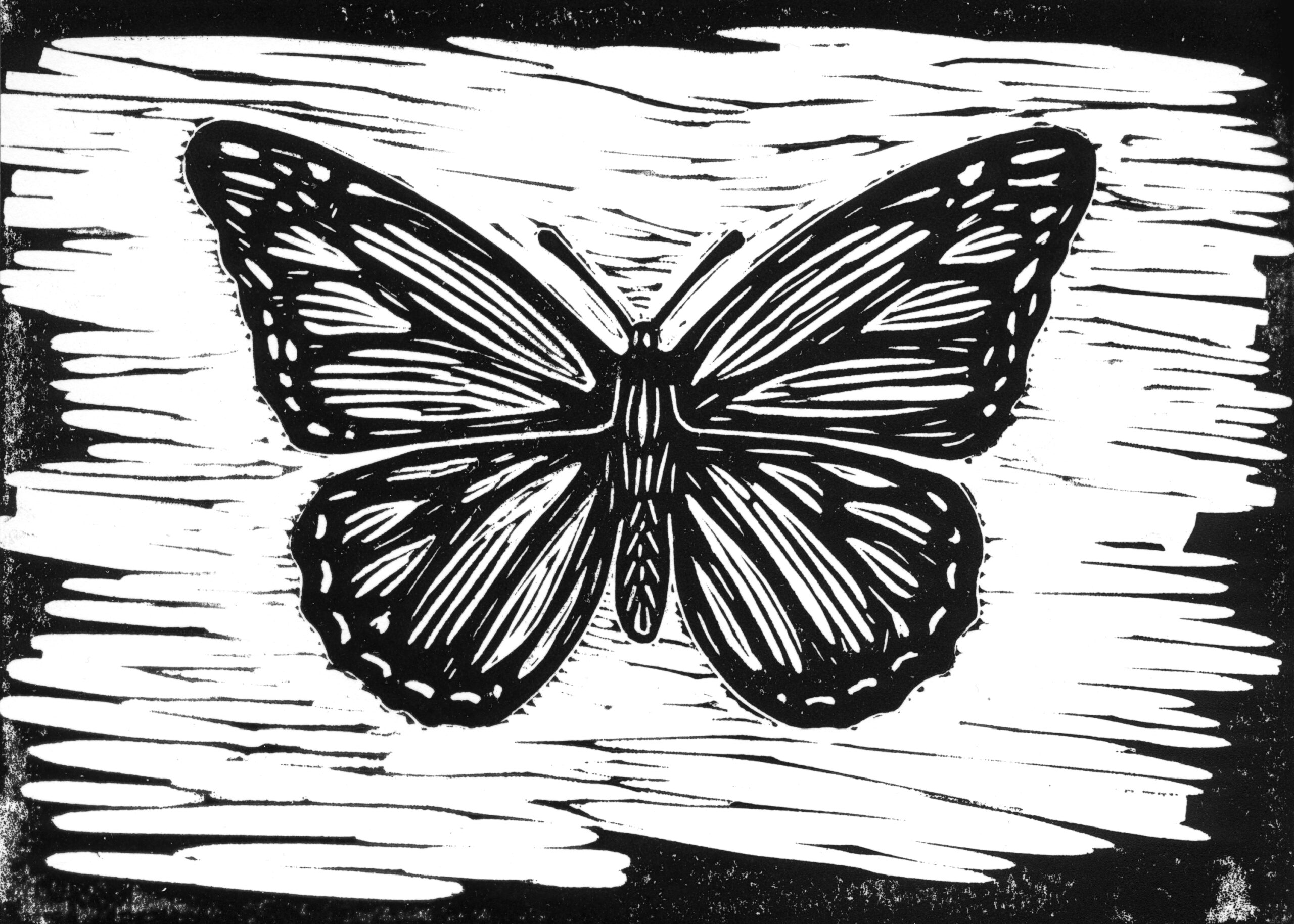 Butterfly block | Benjamin Allison