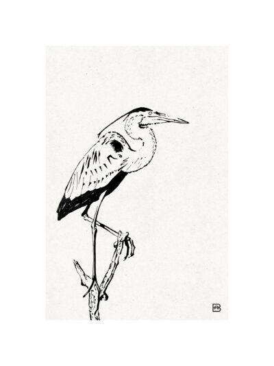 Heron
